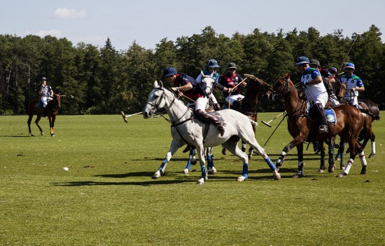 В России во второй раз прошел турнир по конному поло British Polo Day
