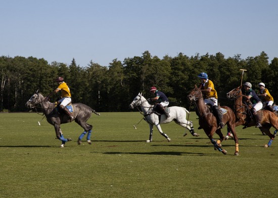 В России во второй раз прошел турнир по конному поло British Polo Day