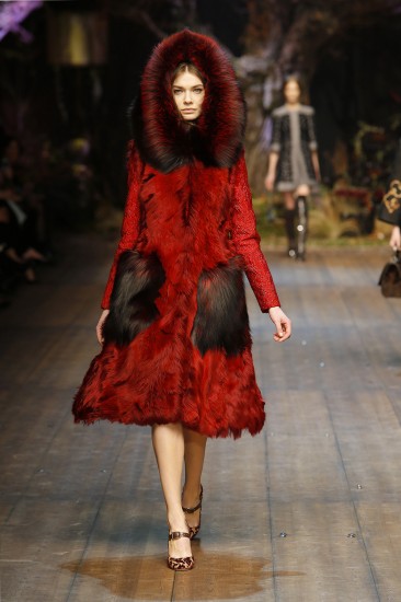 Dolce and Gabbana. Основные тренды - Осень/Зима 2014/15
