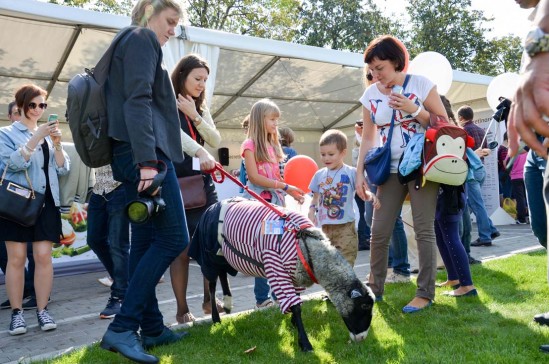 Изобилие вкусов на фестивале Taste of Moscow 2014 в Лужниках