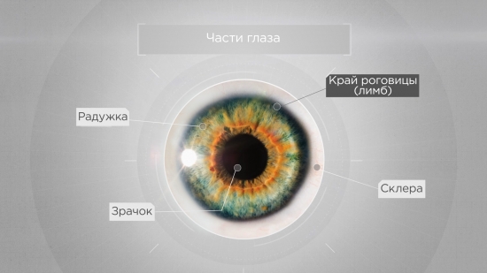 1-DAY ACUVUE ® DEFINE ®
