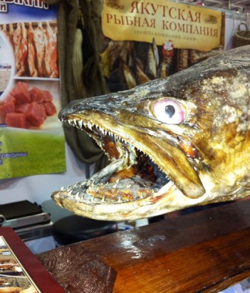 Ярмарка ПИР