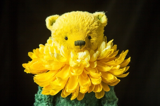 Hello Teddy 2016: самые большие медведи на Тишинке