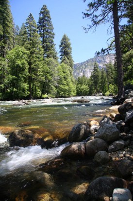 Национальный парк Йосемити (Yosemite National Park)