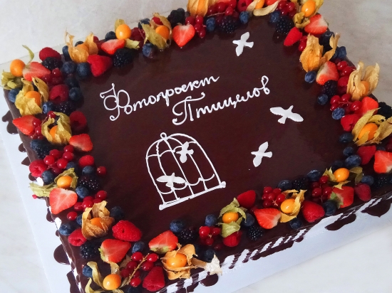 В московском Музее моды проходит выставка «Птицелов» до 21 января
