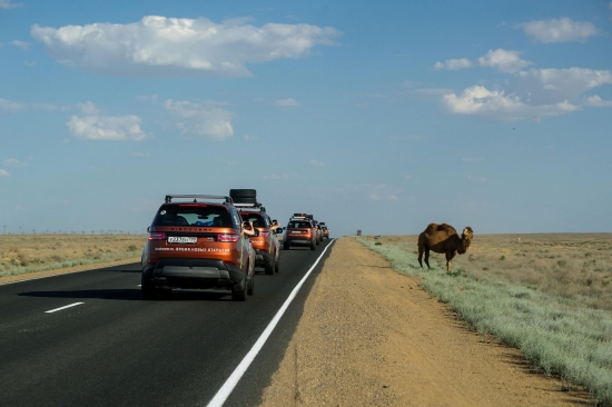 Экспедиция Land Rover «Время новых открытий». Плато Устюрт
