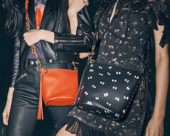 Страшные сказки на ночь от Disney и Coach – эксклюзивная коллаборация «Темная сказка» (A Dark Fairy Tale). Коллекция Pre-Fall 2018