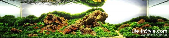 IAPLC 2012