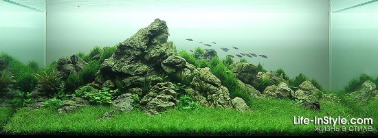 IAPLC 2012
