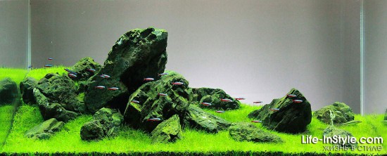 IAPLC 2012