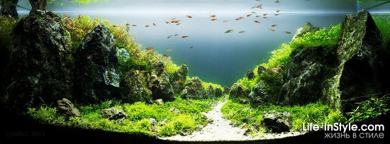 IAPLC 2012