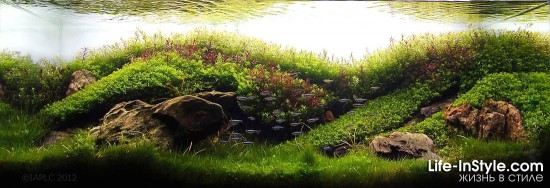 IAPLC 2012