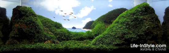 IAPLC 2012