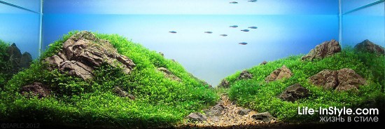 IAPLC 2012
