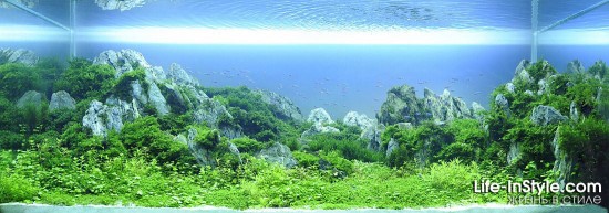 IAPLC 2012