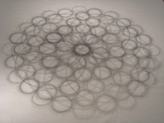 Tony Orrico