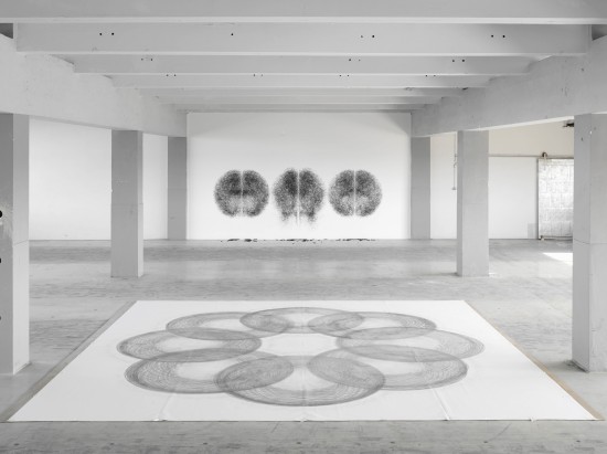 Tony Orrico