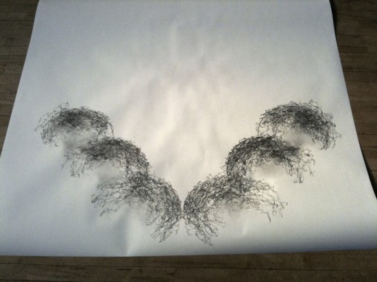 Tony Orrico