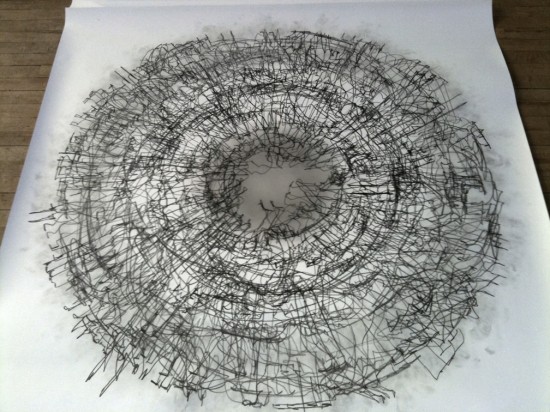 Tony Orrico
