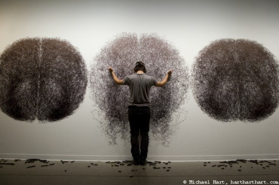 Tony Orrico