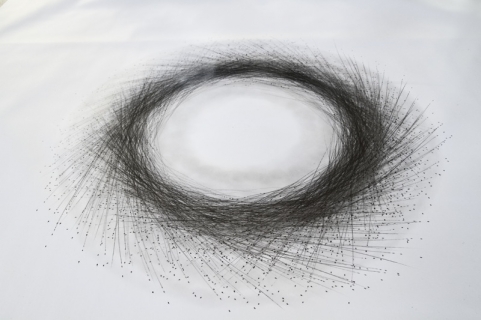 Tony Orrico