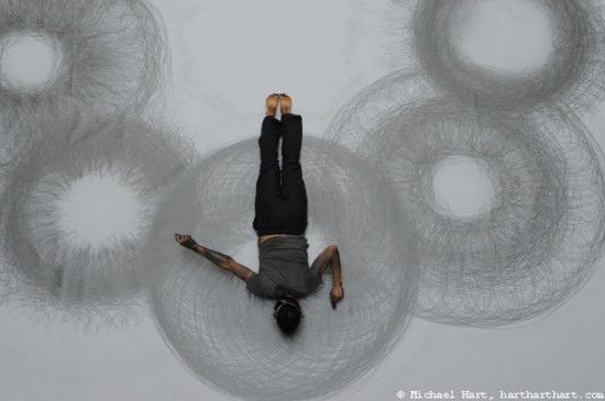 Tony Orrico