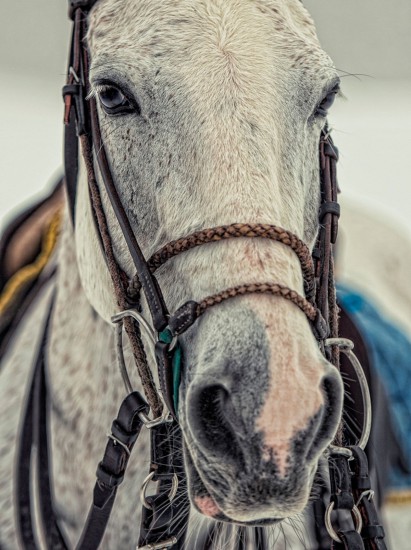 Зимний гольф, Гольф на вертолетах и Moscow Snow Polo Championship
