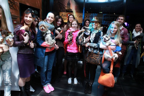 MINI Dog Party