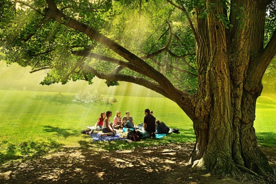 Что делать при укусе клеща?