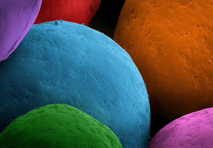 Торт Изображения через микроскоп – черно-белые, Альперт «раскрашивает» эти фото после