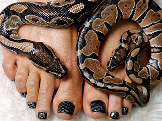 Snake Skin Nails